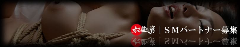 SMパートナー募集